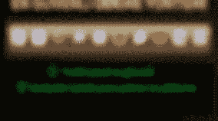 bg-4